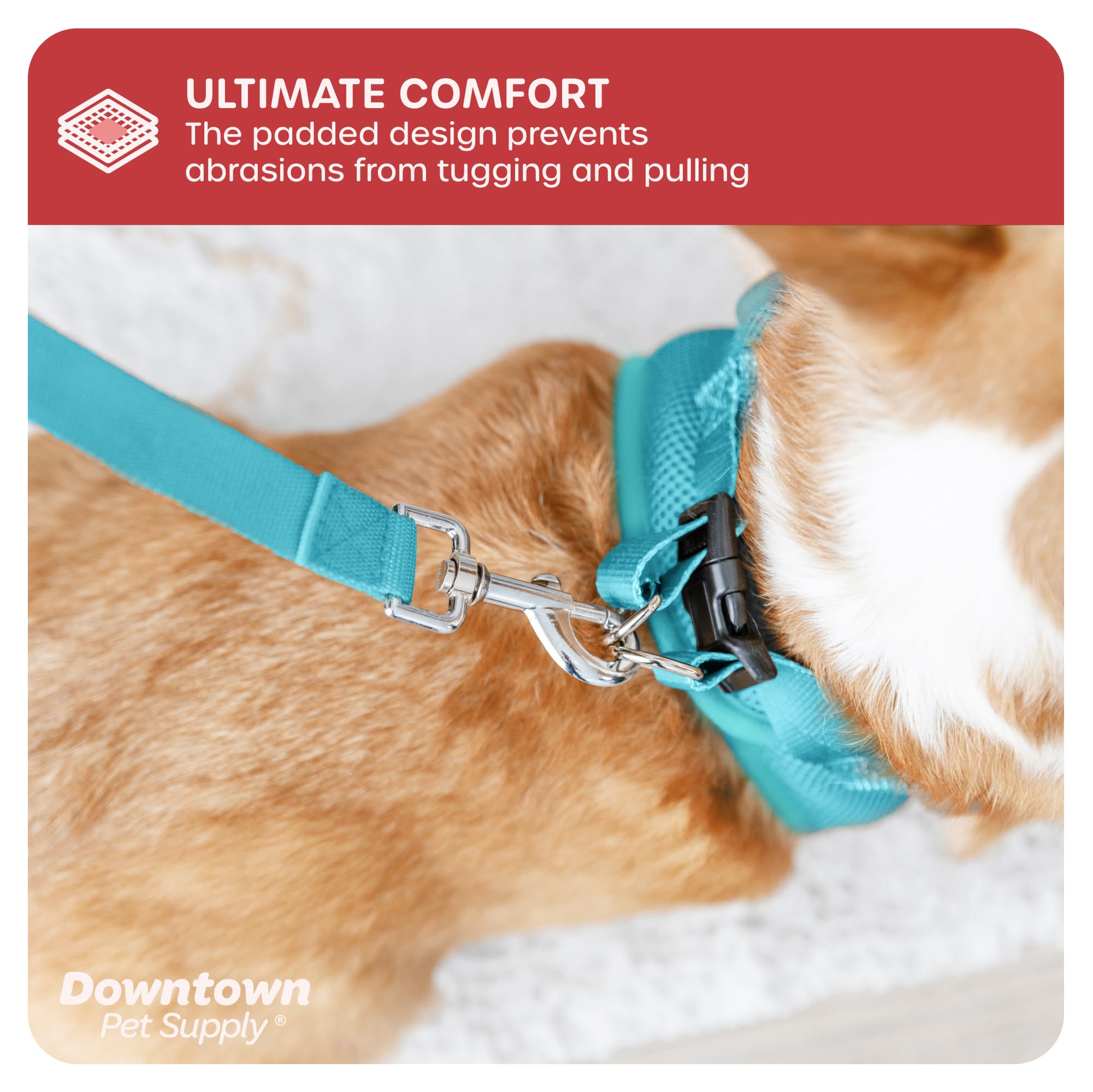Downtown Pet Supply Step-in Dog Harness – No Pull, Adjustable Padded Mesh with Reflective Trim, Secure Buckle Strap – Comfortable & Breathable Small Dog Harness, Large, Light Blue