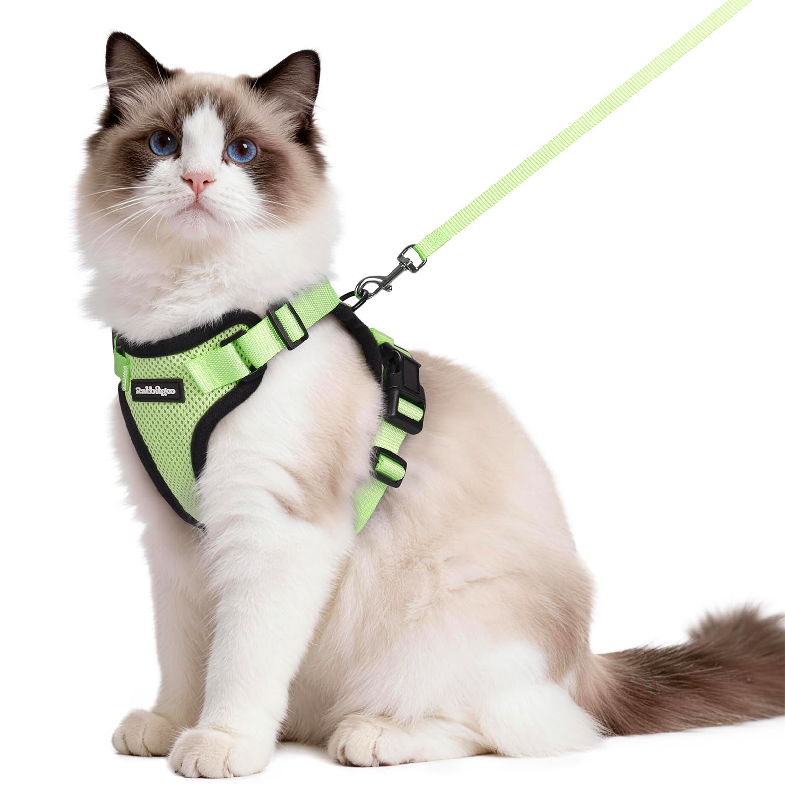 rabbitgoo Cat Harness and Leash Set, Escape Proof Vest, Emerald