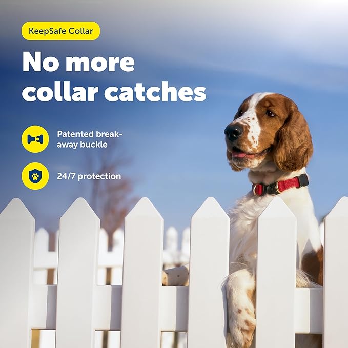 PetSafe KeepSafe Collar for Dogs - Protects Against Collar Accidents - Long Lasting - Durable - Adjustable - Breakaway - Outdoor-Safe - Large - 1 In. Wide - Red