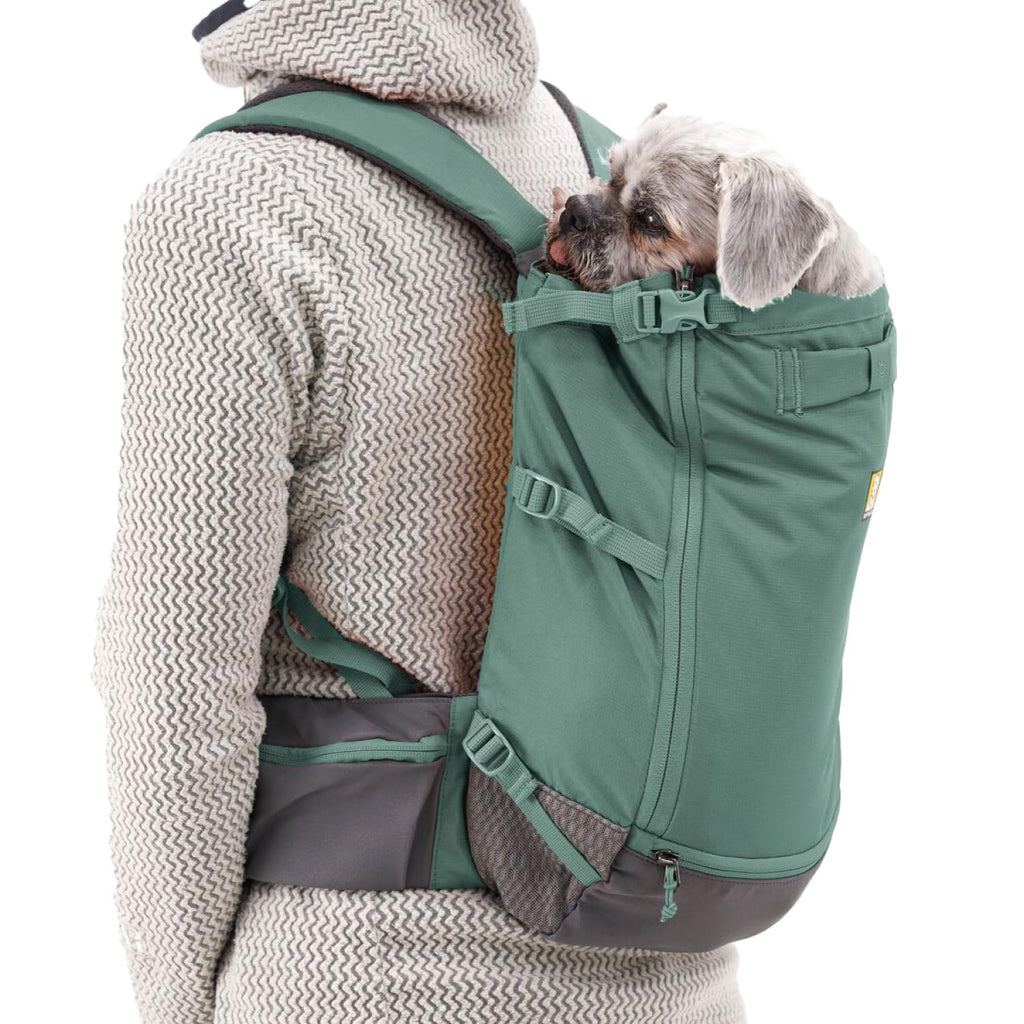 Ruffwear, Hitch Hiker Dog Backpack Carrier, Hands-Free Dog Carrier Backpack with Breathable Mesh, EVA Foam Padding, Durable Polyester, Lightweight Design for Small Dogs, River Rock Green, X-Small