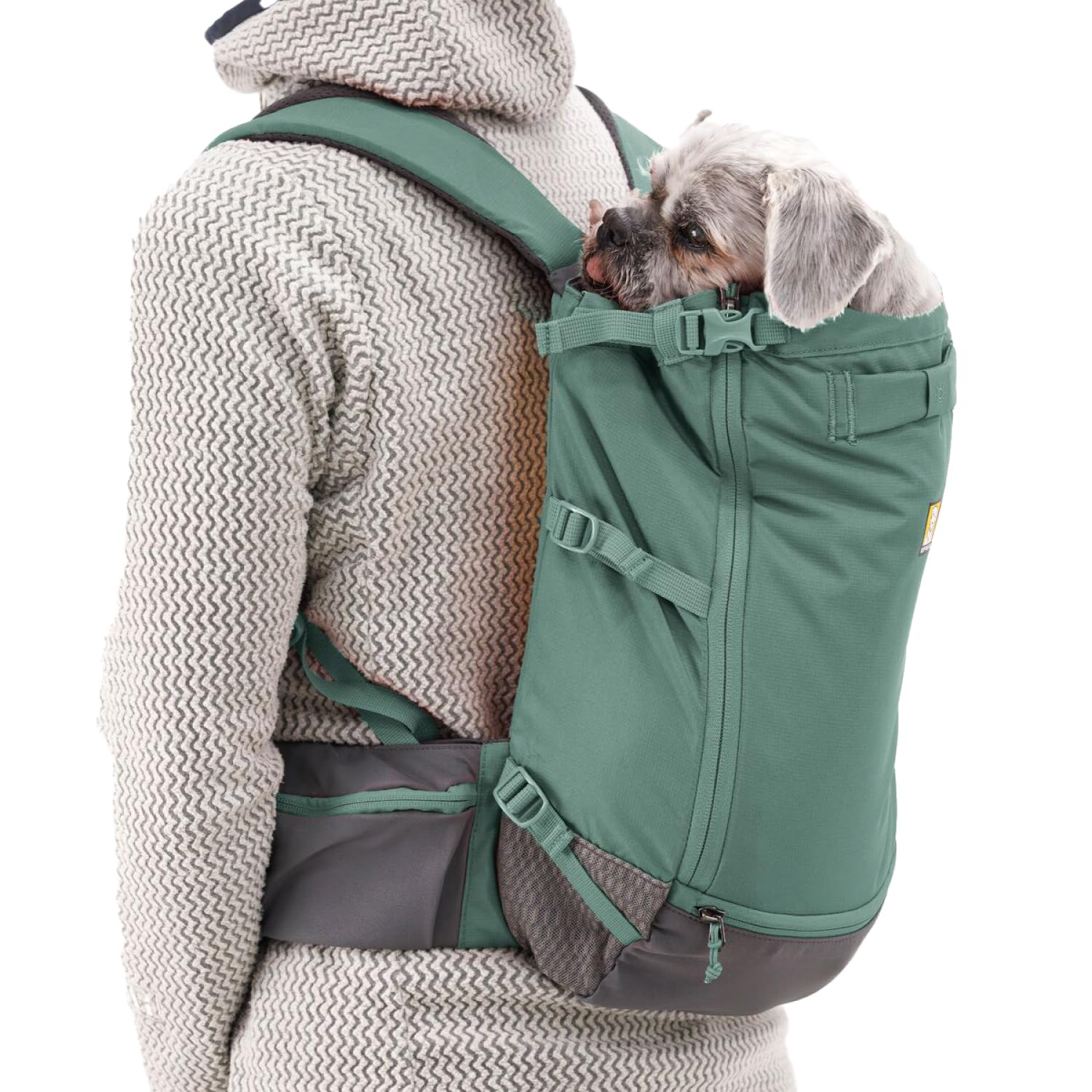 Ruffwear, Hitch Hiker Dog Backpack Carrier, Hands-Free Dog Carrier Backpack with Breathable Mesh, EVA Foam Padding, Durable Polyester, Lightweight Design for Small Dogs, River Rock Green, X-Small