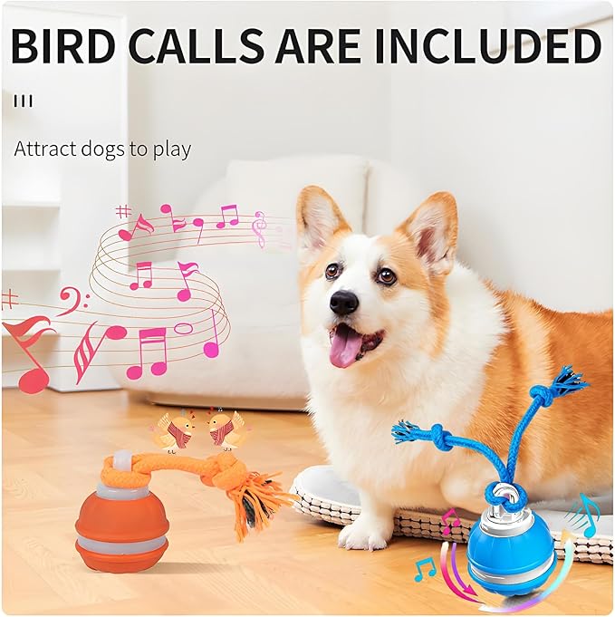 Interactive Dog Ball Toy for Small Dogs, Motion Activated Rolling Ball