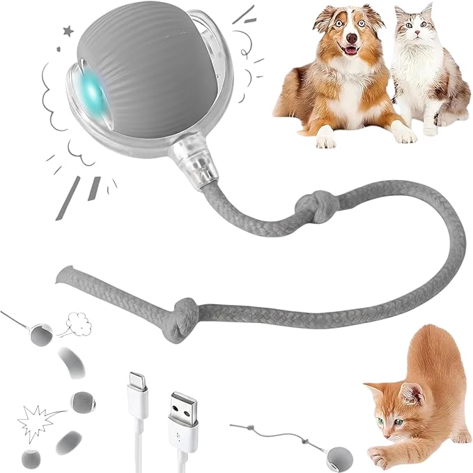 Interactive Electric Automatic Rolling Moving Rechargeable Self Play Stimulation Toy,Smart Pet Chase with Speedy Tail Rope for Bored Indoor Cats (Blue)
