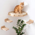 INICIO Cat Wall Shelves - Corner Shelf with 3 Cat Wall Steps - Black