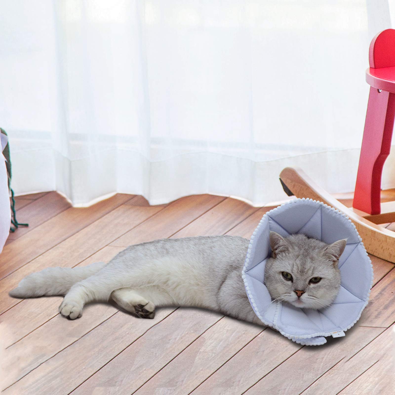 WZ PET Soft Cat Recovery Collar,Adjustable Dog Cat Cone,Dog Protective Cone Collar After Surgery,for Cats and Small Dogs,Medium,Blue