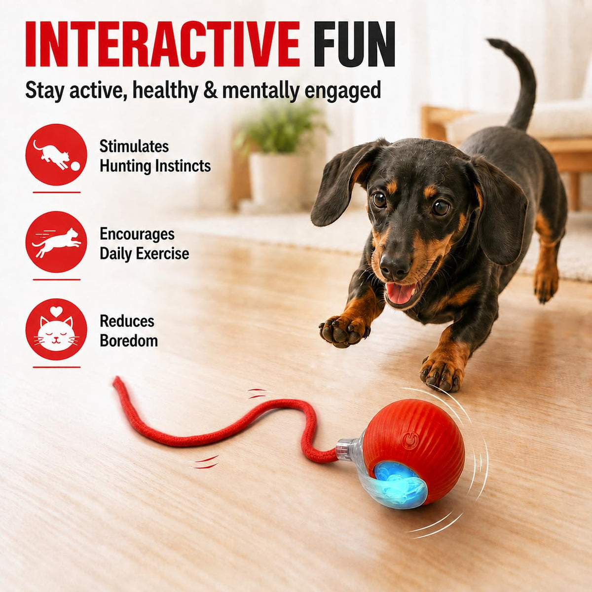 Interactive Automatic Rolling Electronic Stimulation Chase Ball Cat Dog Toy