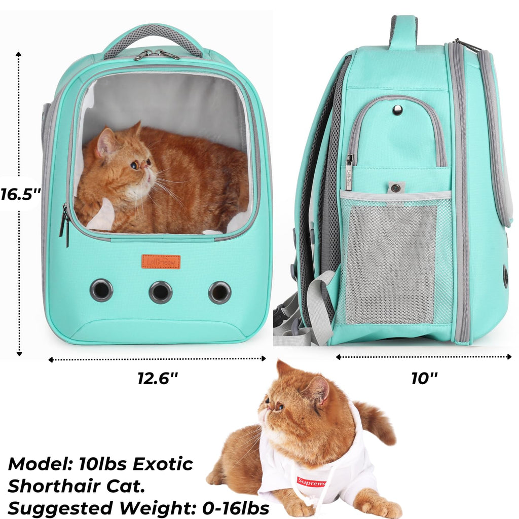 Lollimeow Pet Carrier Backpack, Bubble Backpack Carrier, Cats and Puppies,Airline-Approved, Designed for Travel, Hiking, Walking & Outdoor Use (Green)