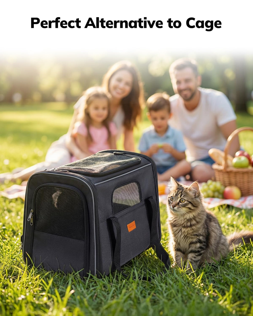Morpilot Pet Carrier for Large Cats, Puppies & Small Dogs Up to 25lbs