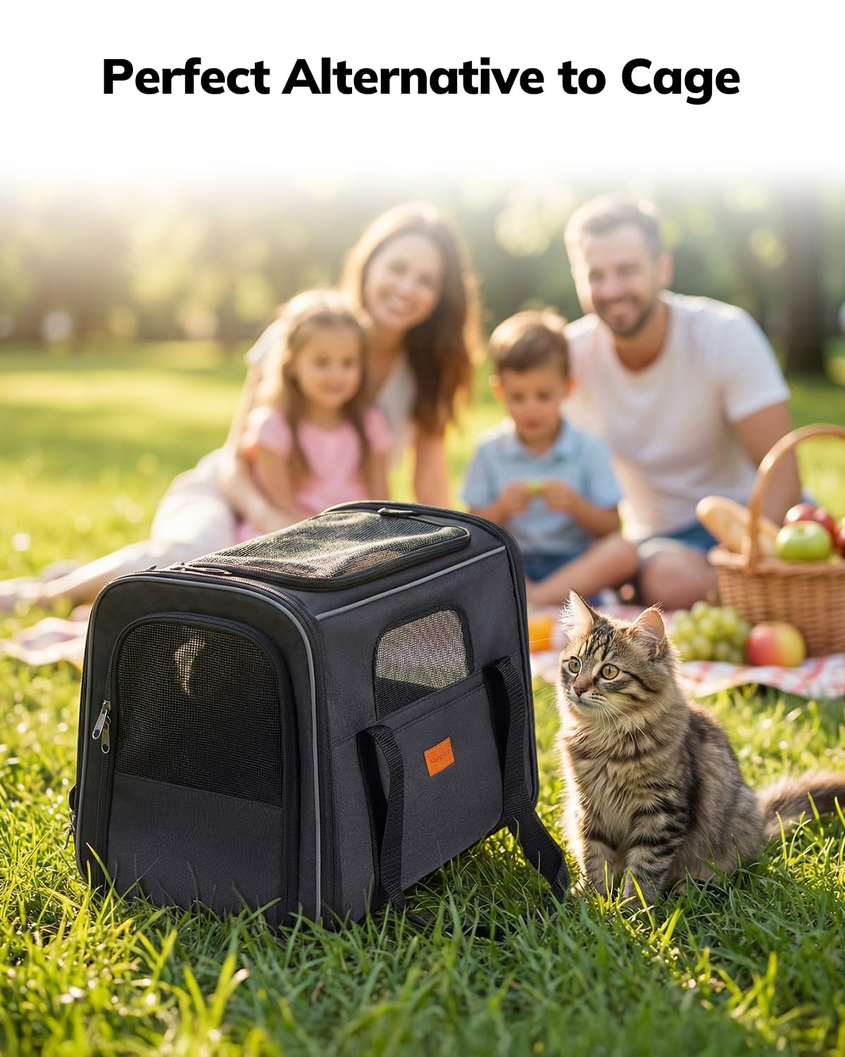 Morpilot Pet Carrier for Large Cats, Puppies & Small Dogs Up to 25lbs