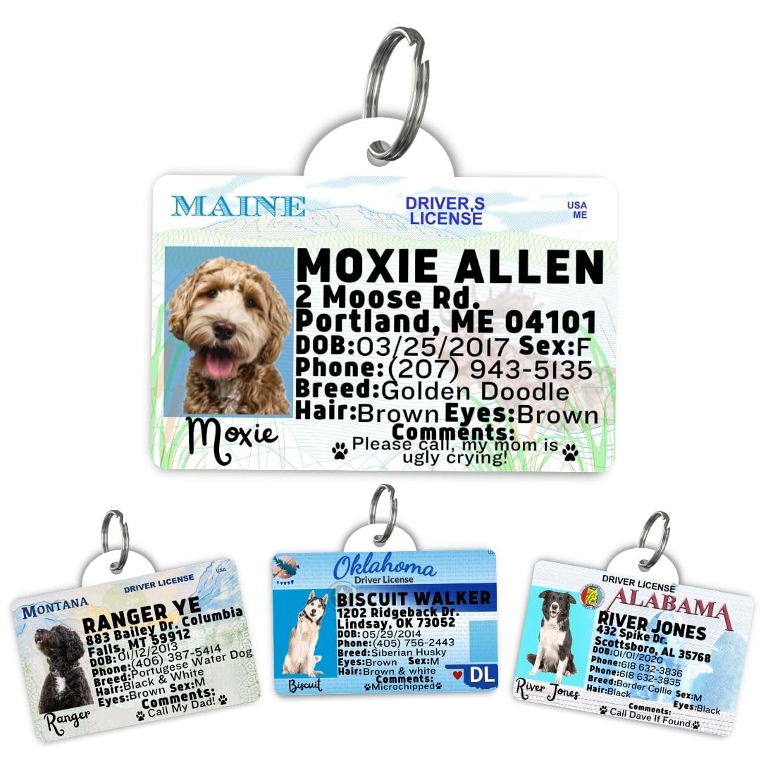 Dog Tags Personalized, Dog ID License Tag for Pets (Washington, Tag)