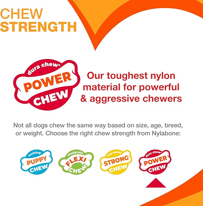 Nylabone Power Chew Basted Blast Dog Chew Toys, X-Small, 2 Count