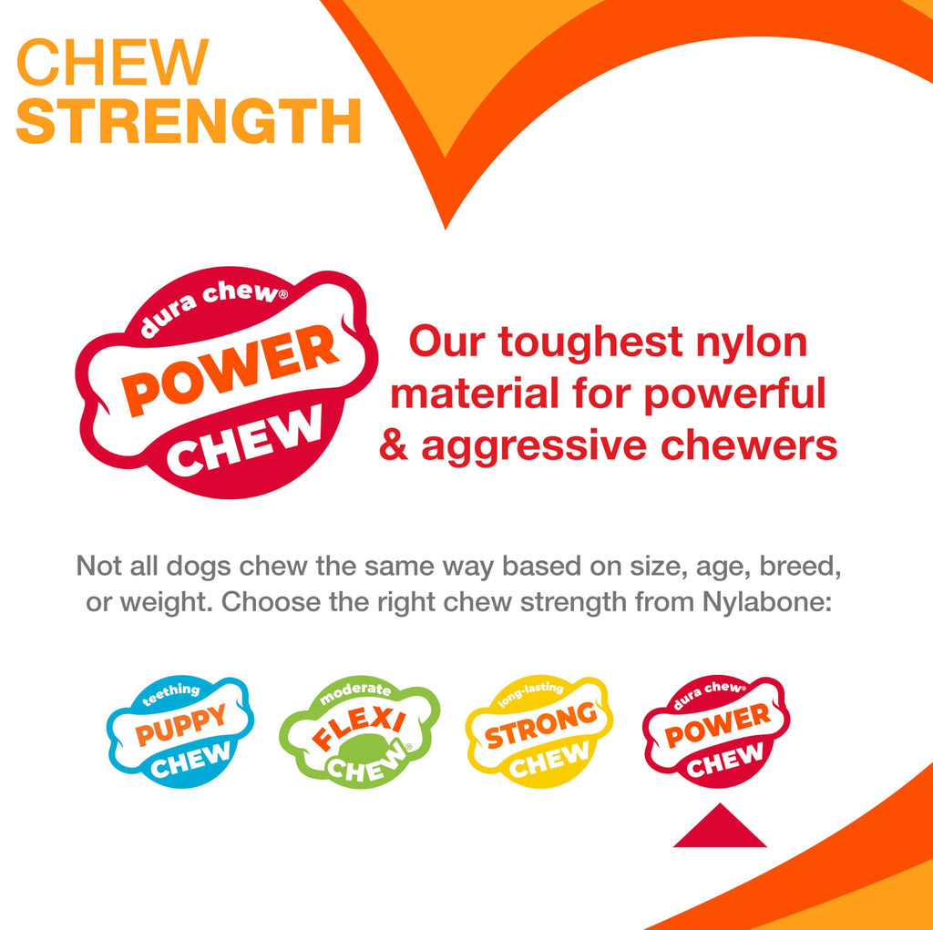 Nylabone Power Chew Ring Bone Dog Chew Toy, Flavor Medley, X-Small