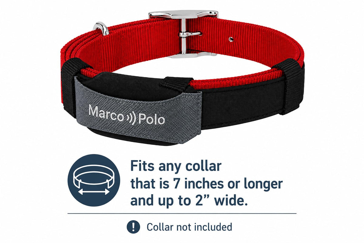Marco Polo Pet Tracker System for 2 Cats or Dogs - GPS Alternative, No Monthly Fee, Waterproof Long Range RF Finder, Multi-Pet Monitoring Safety Tags