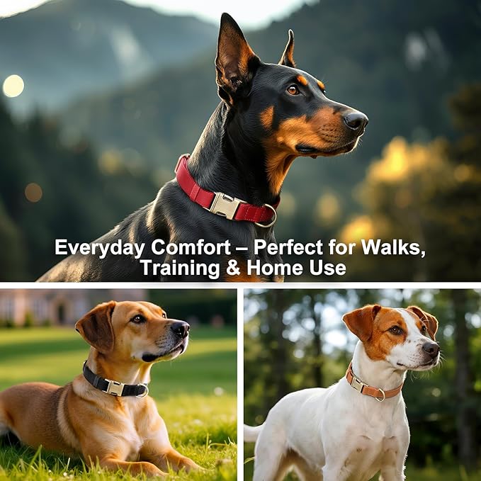 Plutus Pet Genuine Leather Dog Collar – Adjustable Pet Collar with Quick Release Metal Buckle, Soft Real Leather for Small Medium Large Dogs, Heavy Duty & Skin-Friendly (Beige, XS)
