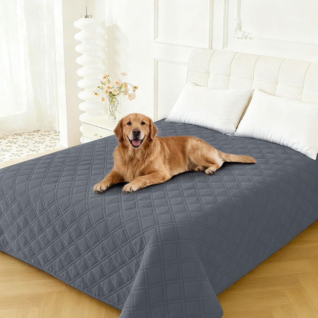 CYCMACO Waterproof Dog Blanket, Non-Slip Soft Pet Bed Cover, Couch Cover for Dogs Washable, Protects Sofa, Furniture, Crate, Car, Tear Resistant Leakproof Pet Blanket (30x53 Inch, Dark Grey)