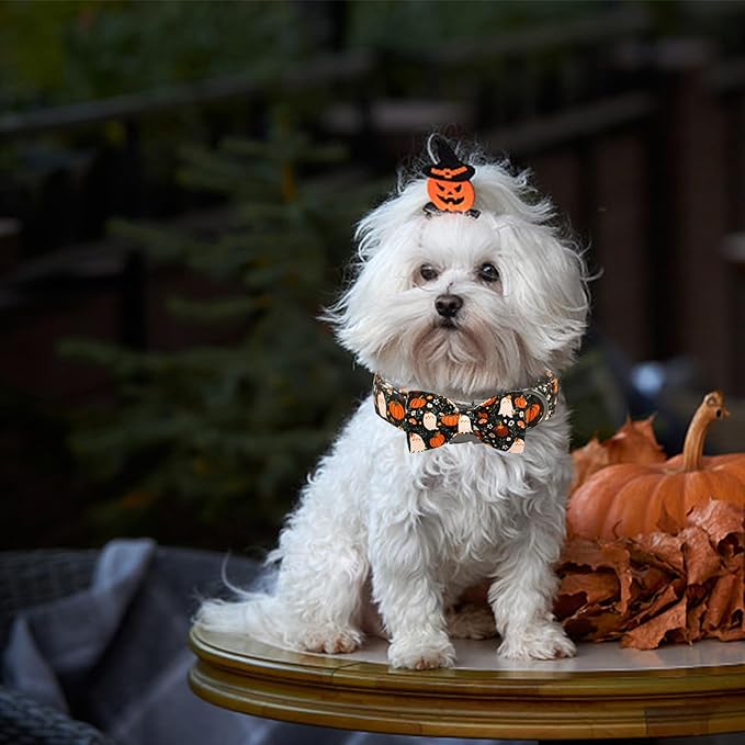 Halloween Dog Collar, Ghost Print Adjustable Pet Collar Fall Pumpkin Cute Cotton Soft Collars with Bow Tie Fall Metal Buckle Holiday Puppy Collars Boy&Girl Gift for X-Large Dogs