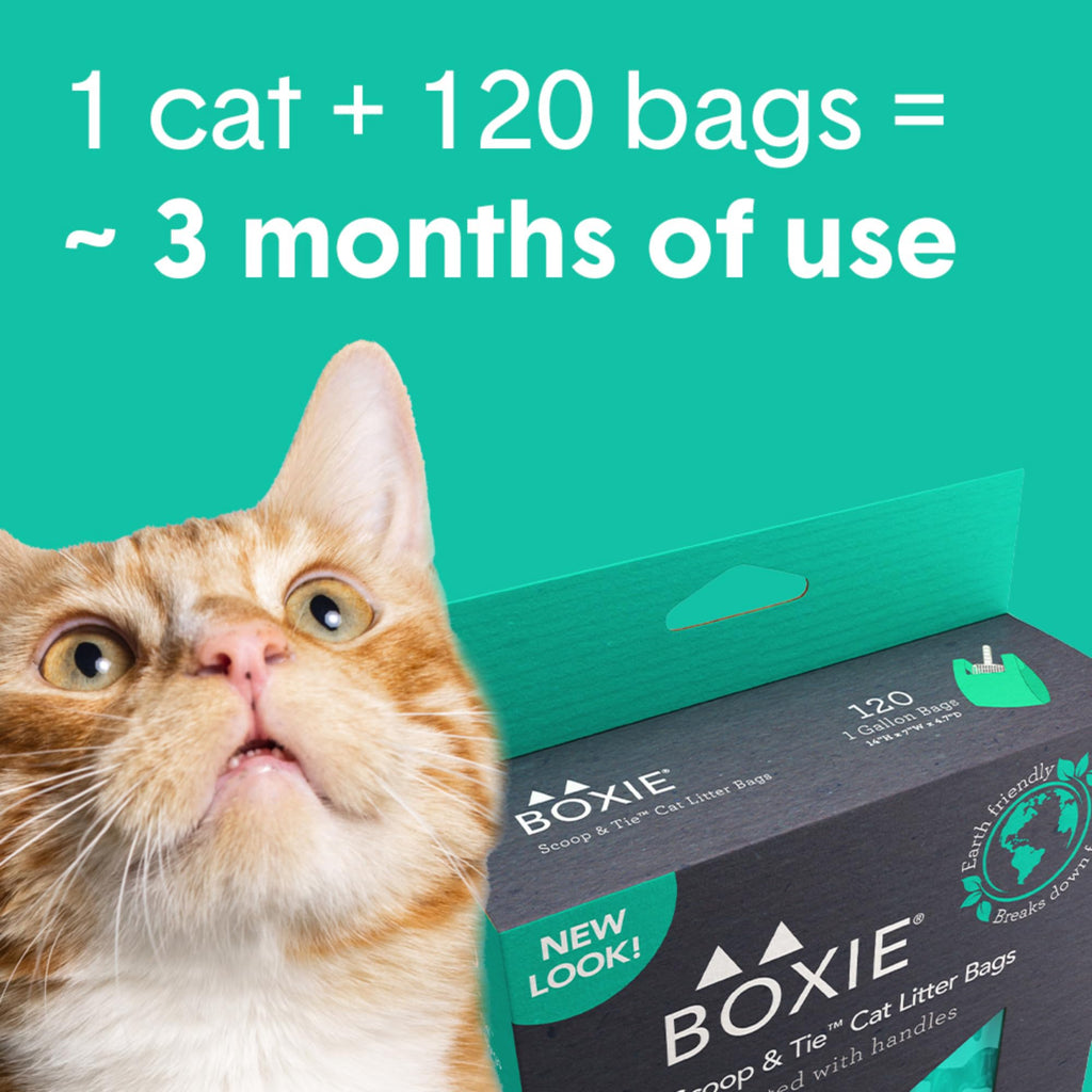 Boxie Sustainable Scoop & Tie Pet Waste Bags, 120 Count, Leak-Proof, Easy-to-Tie Handles, Eco-Friendly, Odor Control, EPI Technology, Durable for Cat Litter & Dog Waste