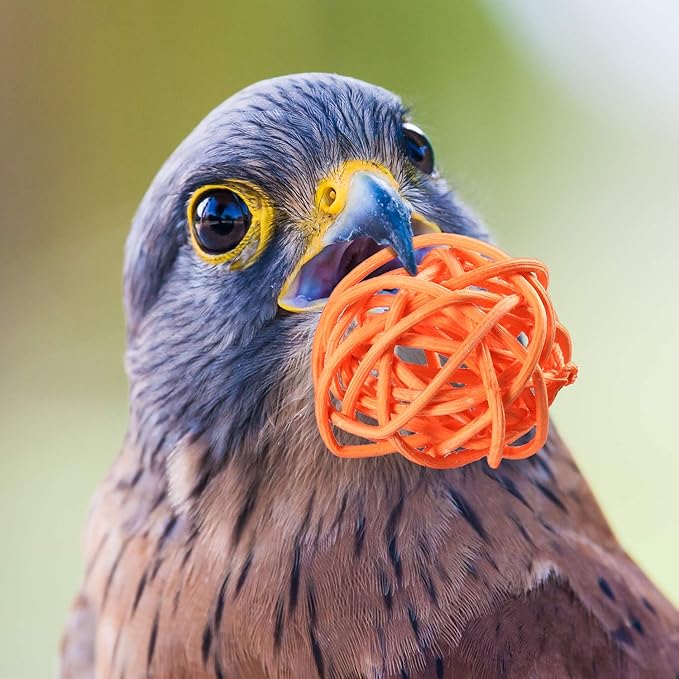 Sumind 80 Pieces Parrot Toy 1.2 Inch Wicker Rattan Balls Wooden Blocks Bird Chewing Toys Mini Wood Chips Pet Parrot Cage Accessories for DIY Playing Chewing Shredding Mixed Bird Toys, Random Color