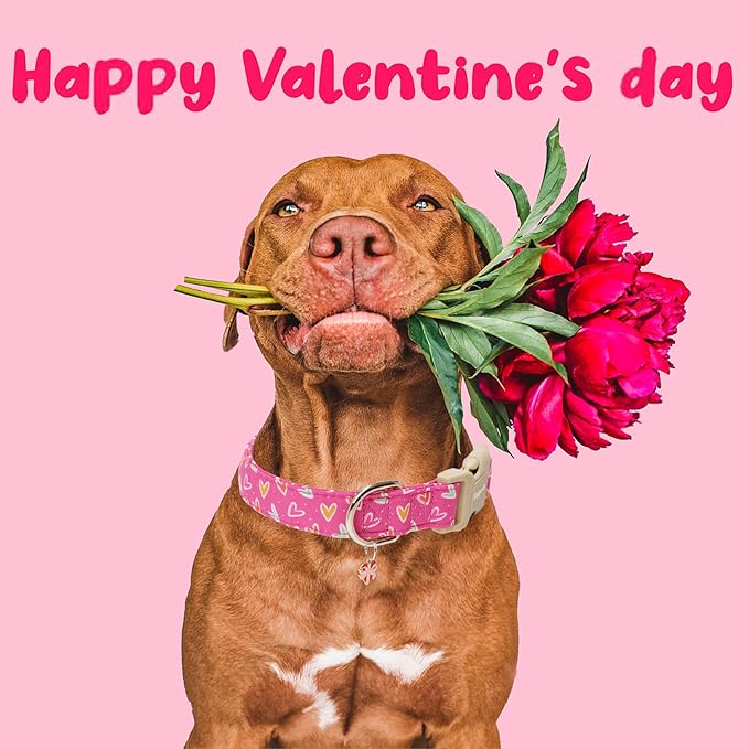 Faygarsle Valentine's Day Dog Collar, Pink Heart Pattern with Heart Charm, Pet Collar for Small Medium Large Dogs, L