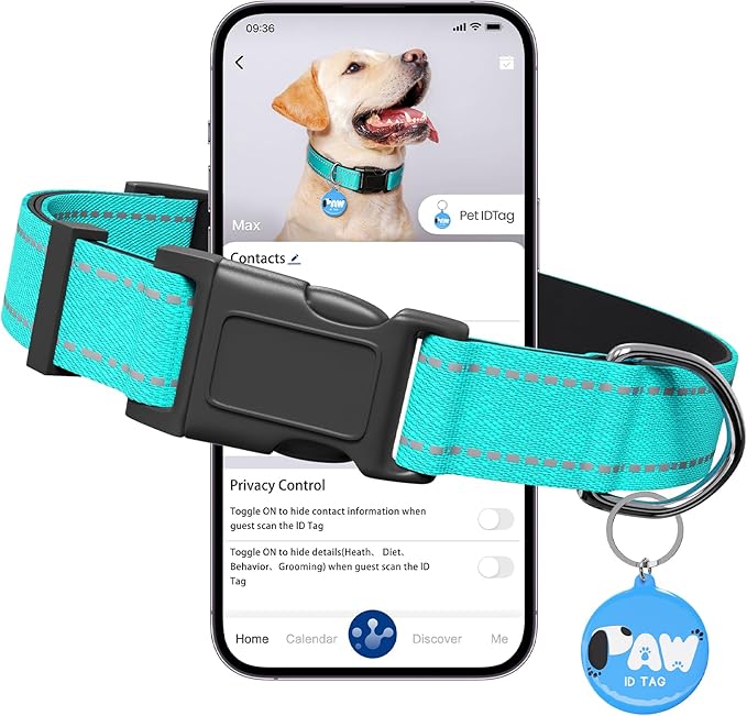 Pawduct Personalized Collar with Smart ID Tag, Large, Mint Green