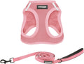Best Pet Supplies Voyager Step-in Air All Weather Mesh Harness and Reflective Dog 5 ft Leash Combo with Neoprene Handle, for Small, Medium and Large Breed Puppies - Set (Pink), XL