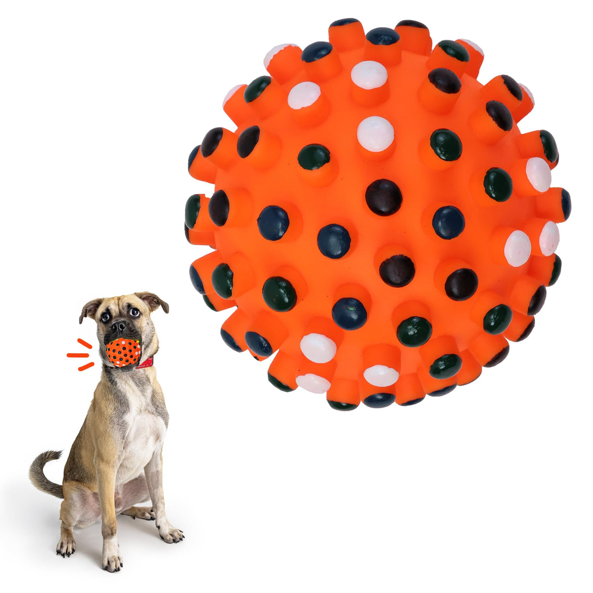 SPOT Vinyl Gumdrop Ball Dog Toy with Squeaker - Colorful and Interactive Dog Chew Toy, Floats in Water, Made from Durable, Non-Toxic Natural Rubber, Great for Dogs and Puppies, 5in, Assorted Colors