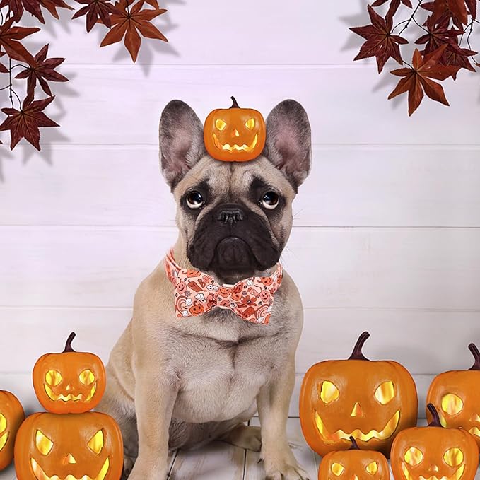 Bobo Rainbow Halloween Dog Collar, Pet Collar Bow Pumpkin Pet Collar Girl Boy Holiday Pet Collars Gift Bow Dog Collar Cute Soft Puppy Collar for X-Small Puppy