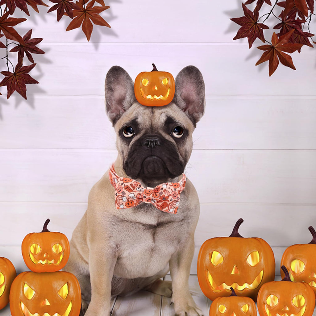 Bobo Rainbow Halloween Dog Collar, Pet Collar Bow Pumpkin Pet Collar Girl Boy Holiday Pet Collars Gift Bow Dog Collar Cute Soft Puppy Collar for X-Small Puppy