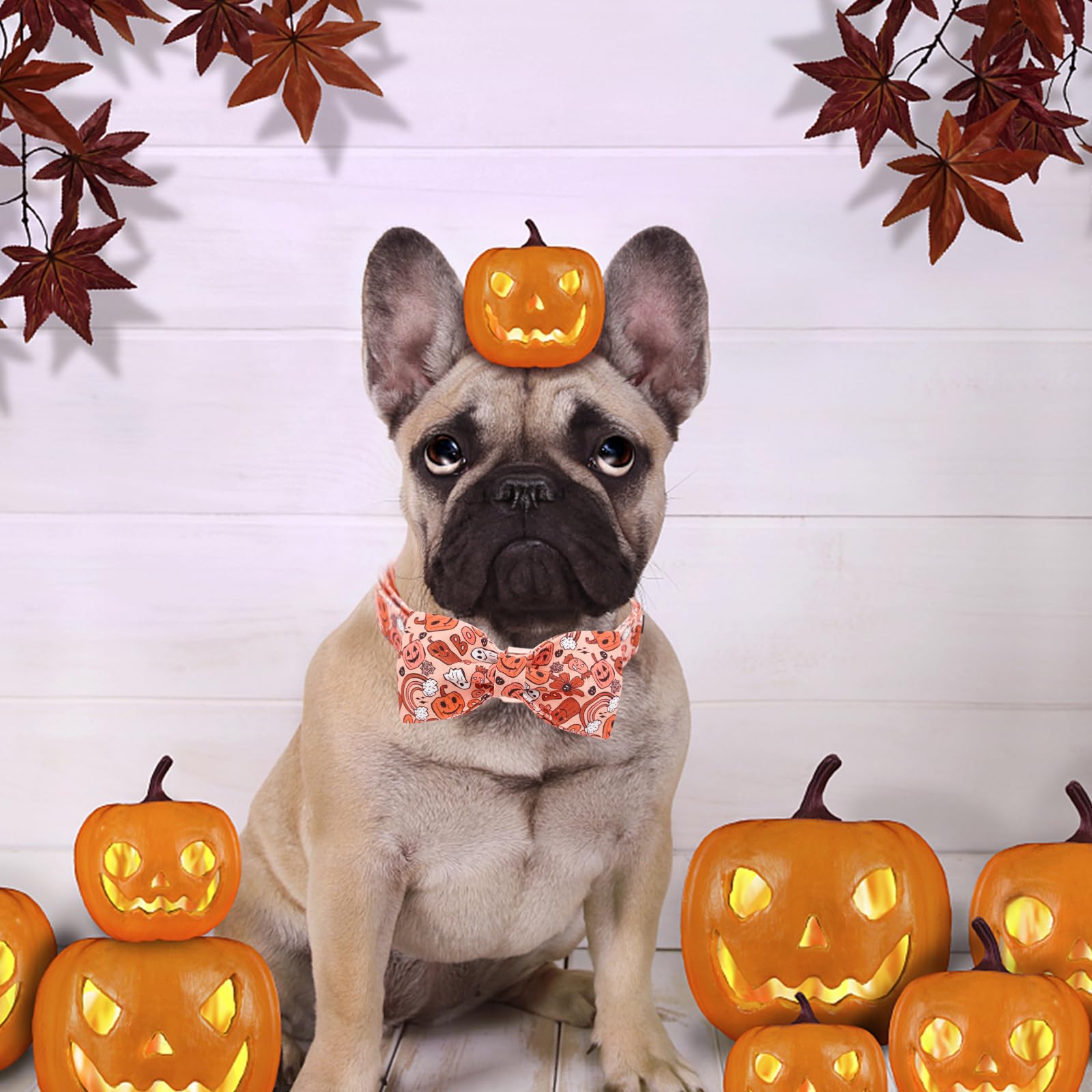 Bobo Rainbow Halloween Dog Collar, Pet Collar Bow Pumpkin Pet Collar Girl Boy Holiday Pet Collars Gift Bow Dog Collar Cute Soft Puppy Collar for X-Small Puppy
