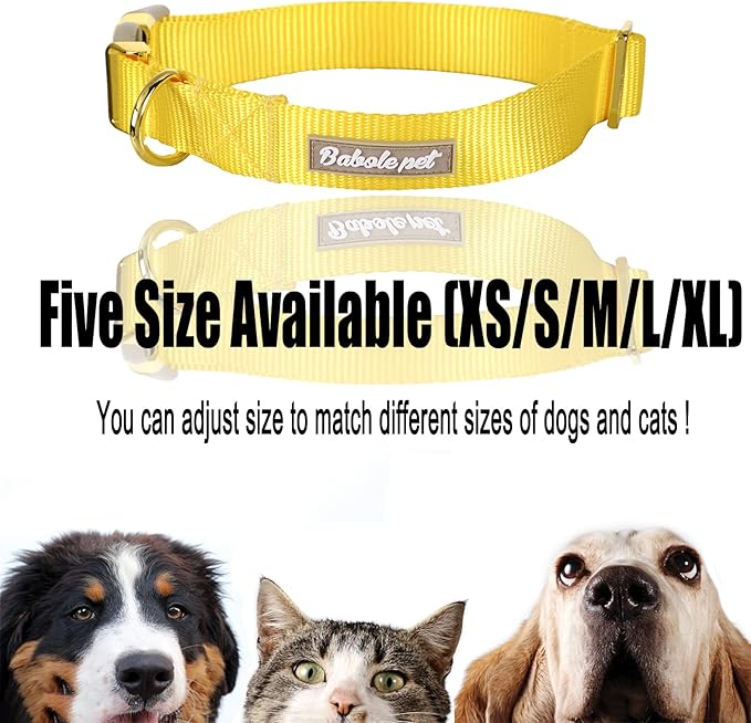 Babole Pet Nylon Dog Collar - Adjustable Yellow Soft Webbing Dog Collars for Small Medium Large Dogs Boy Girl Puppy Collar with Safety Metal Buckle S