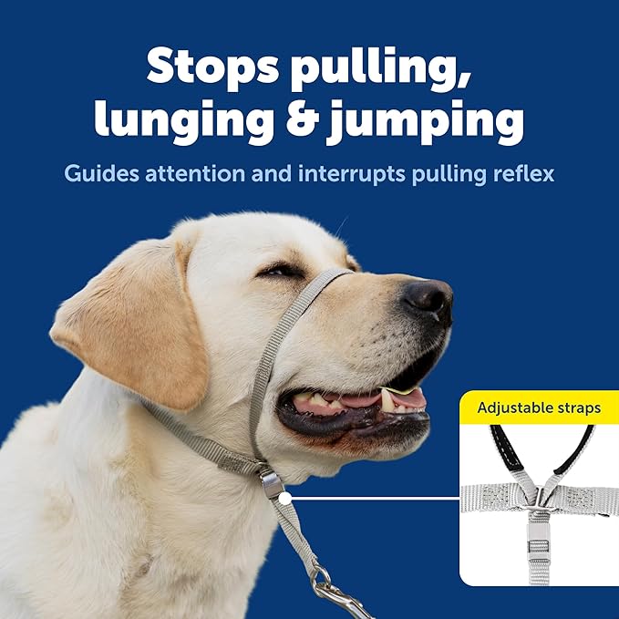 PetSafe Gentle Leader Headcollar No-Pull Dog Collar - Helps Improve Walks - Durable Nylon Construction - Padded Nose Loop - Adjustable Fit - Comfort Walking Halter - Petite, Black