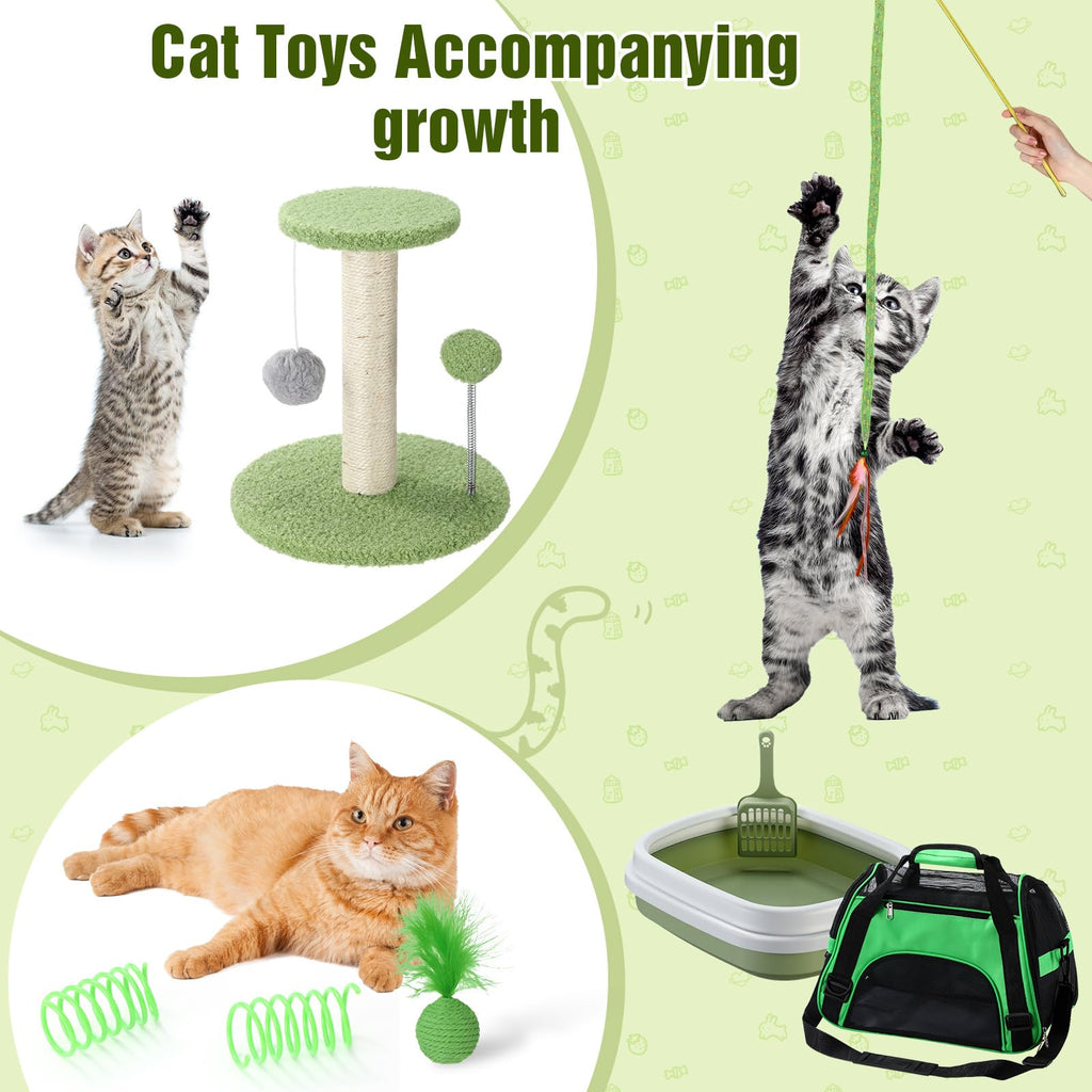 Eccliy Kitten Starter Kit, 10 Pcs Cat Starter Kit for Indoor Cats Kitten Essentials Includes Litter Box, Pet Toy, Folding Carrier, Climbing Frame, Mat, Collar, Automatic Food Bow(Classic,Green)
