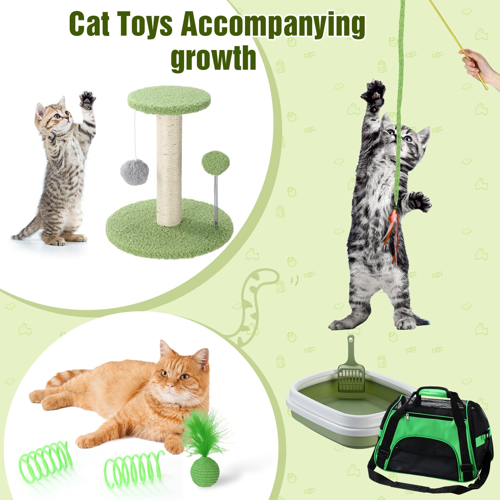 Eccliy Kitten Starter Kit, 10 Pcs Cat Starter Kit for Indoor Cats Kitten Essentials Includes Litter Box, Pet Toy, Folding Carrier, Climbing Frame, Mat, Collar, Automatic Food Bow(Classic,Green)