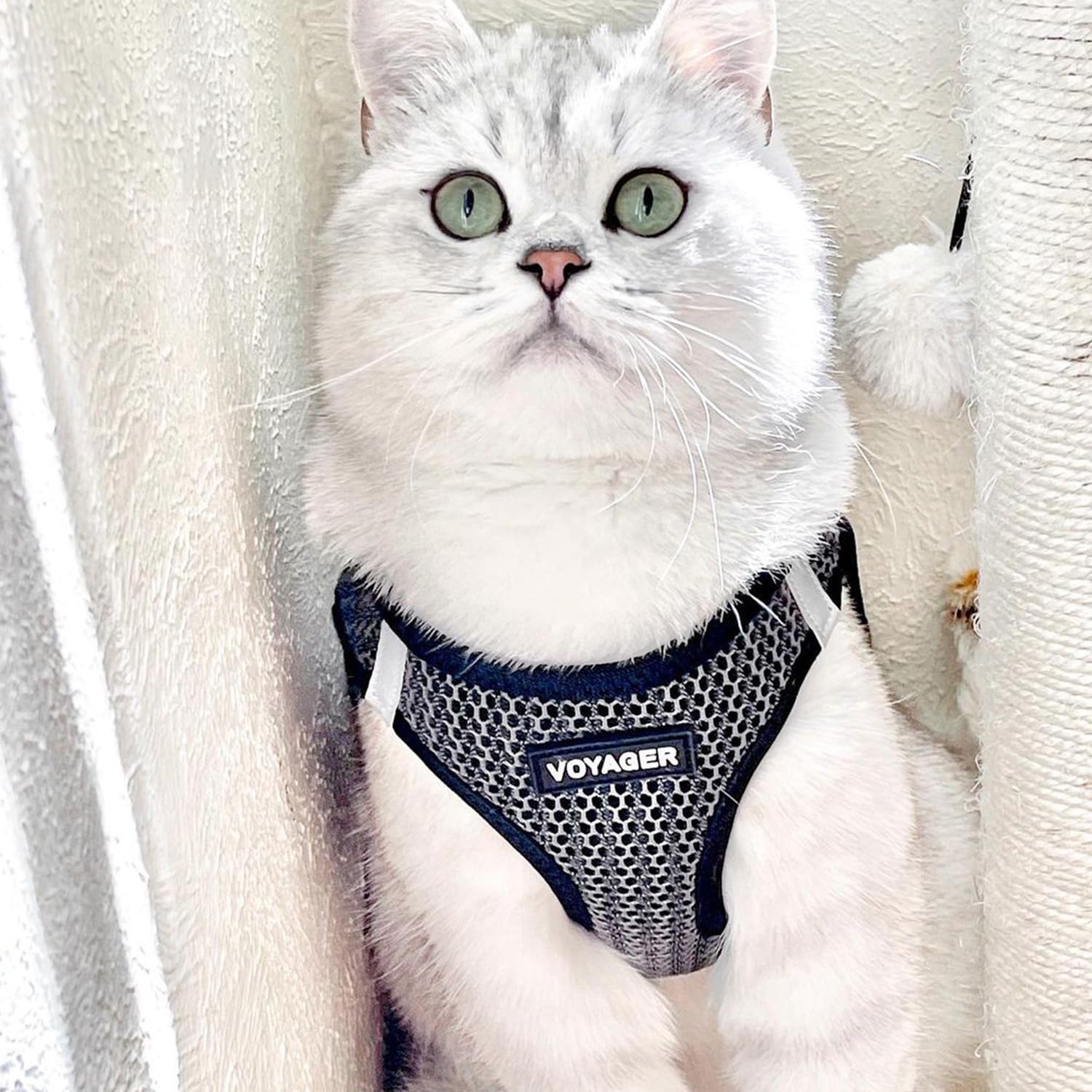 Best Pet Supplies Voyager Step-in Air All Weather Mesh Harness and Reflective Dog 5ft Leash Combo with Neoprene Handle, for Small, Medium and Large Breed Puppies - Gray 2-Tone, Medium