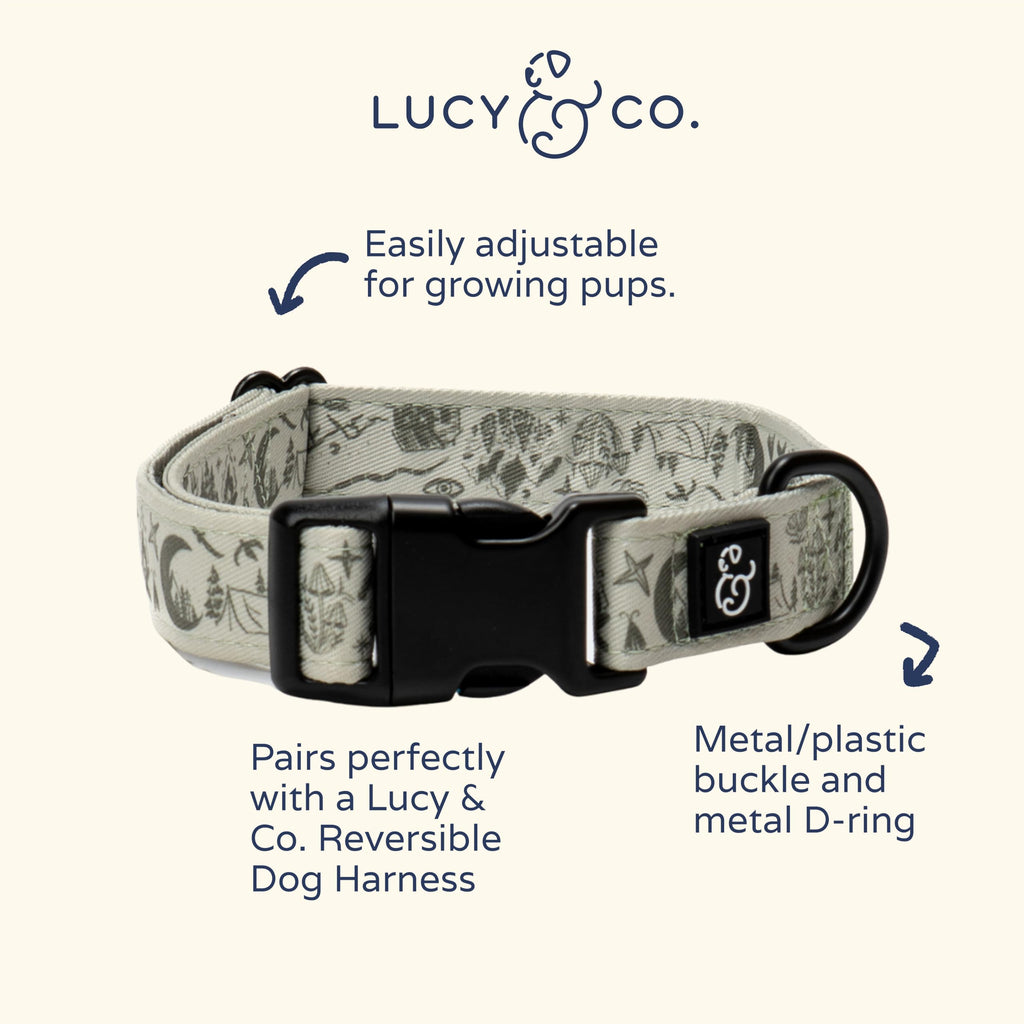 Lucy & Co. Dog Collar - Durable Lightweight Designer Collar for Pets - Adjustable Metal Safety Buckel. - Green Outdoor Plaid - Small