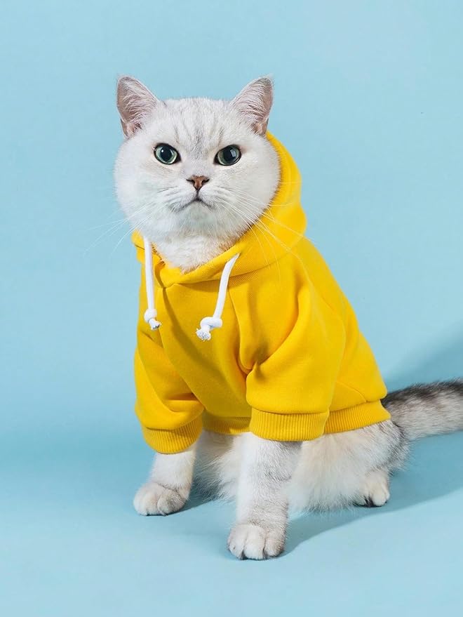 QWINEE Basic Dog Hoodie Sweatshirt Puppy Sweater Warm Cat Costumes Pet Clothes for Chihuahua Puppy Kitten Small Medium Dogs Yellow Medium