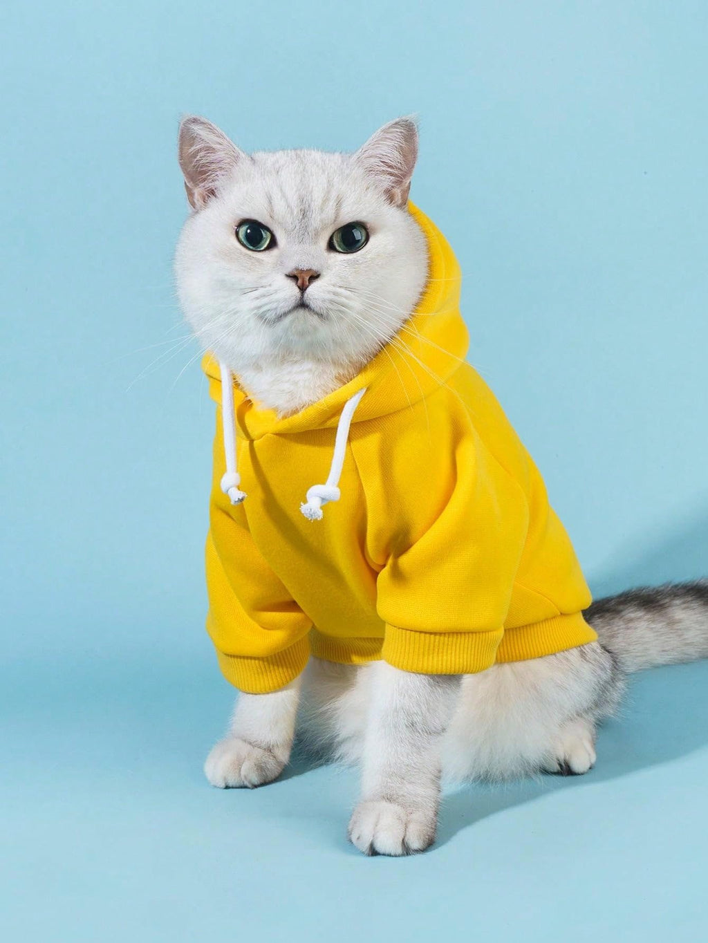 QWINEE Basic Dog Hoodie Sweatshirt Puppy Sweater Warm Cat Costumes Pet Clothes for Chihuahua Puppy Kitten Small Medium Dogs Yellow X-Small