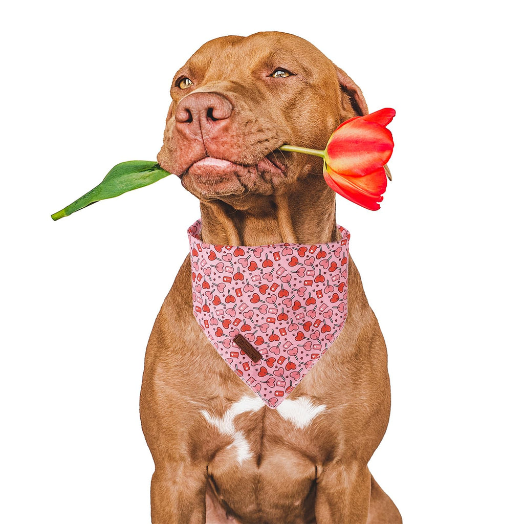 UP URARA PUP Valentine Dog Bandana - Pink Heart Triangle Bid Scarf for Small/Medium Dogs, Cats; Cotton Kerchief for Girl/Boy Pets, Red, Cute Adorable Puppy Bandana