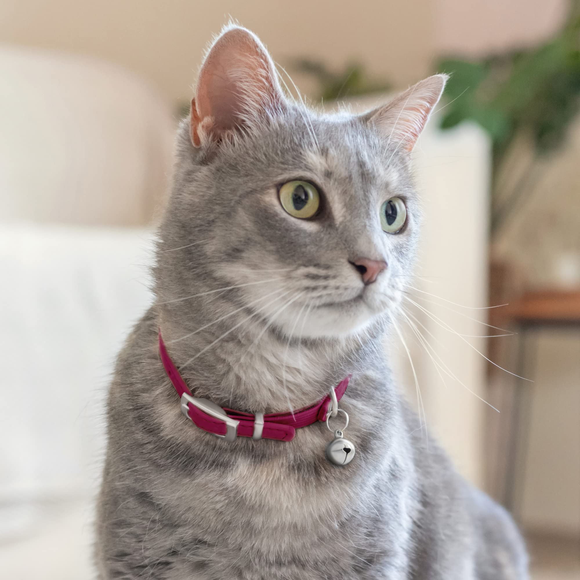 Soft Leather Cat Collar with Safety Elastic Strap - Pink