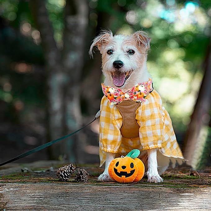 Bobo Rainbow Fall Dog Collar, Pink Flower Pumpkin Print Adjustable Pet Collar Cute Cotton Soft Collars with Bow Tie Metal Buckle Holiday Puppy Collars Boy&Girl Gift for X-Large Dogs