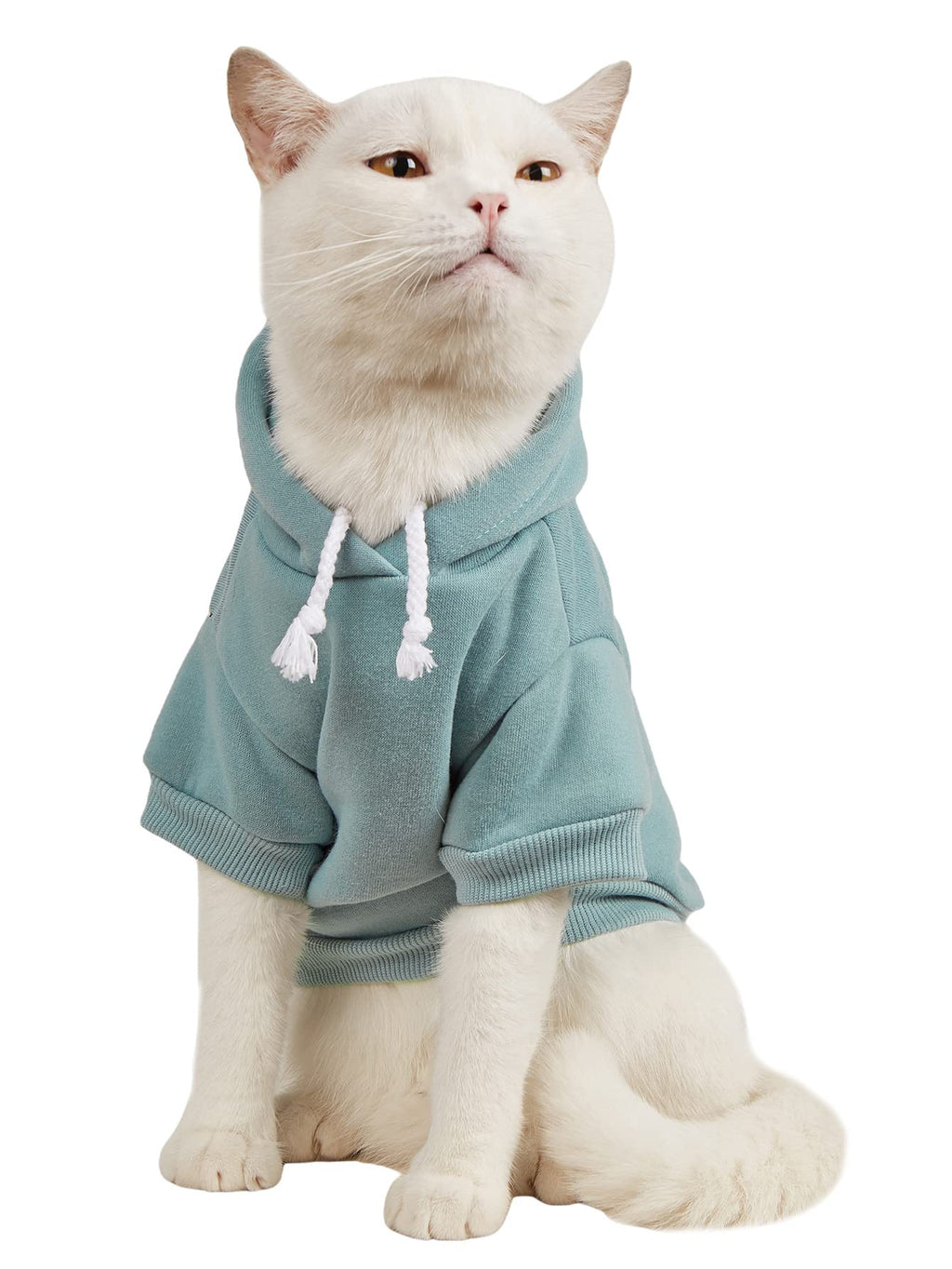 QWINEE Basic Dog Hoodie Sweatshirt Puppy Sweater Warm Cat Costumes Pet Clothes for Chihuahua Puppy Kitten Small Medium Dogs Cadet Blue X-Small