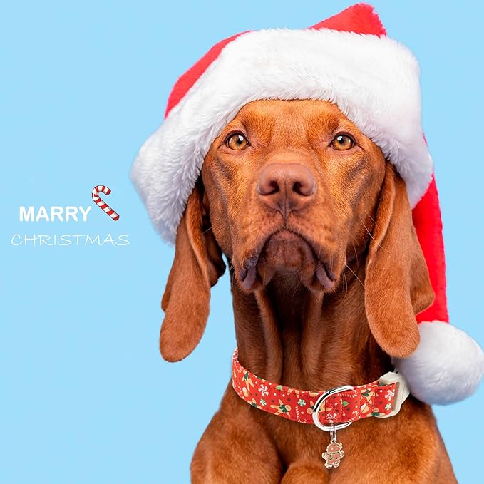 Faygarsle Christmas Dog Collar, Red Gingerbread Pattern, Holiday Pet Accessory, for Small Medium Large Dogs, XS