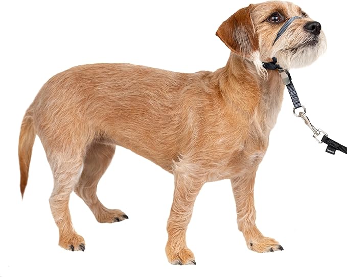 PetSafe Gentle Leader No-Pull Dog Headcollar - The Ultimate Solution to Pulling - Redirects Your Dog's Pulling for Easier Walks - Helps You Regain Control - Small, Charcoal