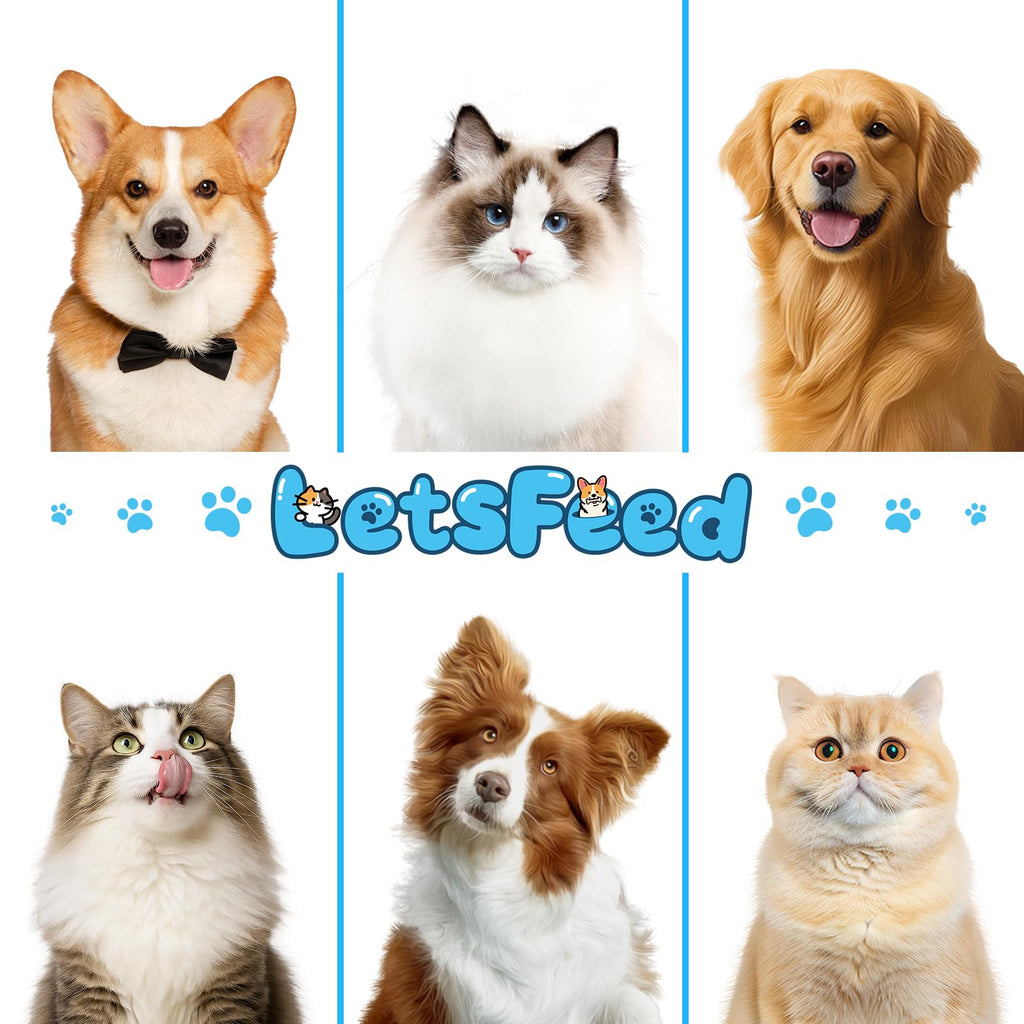 LetsFeed Pet Steam Brush for Dogs & Cats, 3-in-1 Shedding Grooming Tool