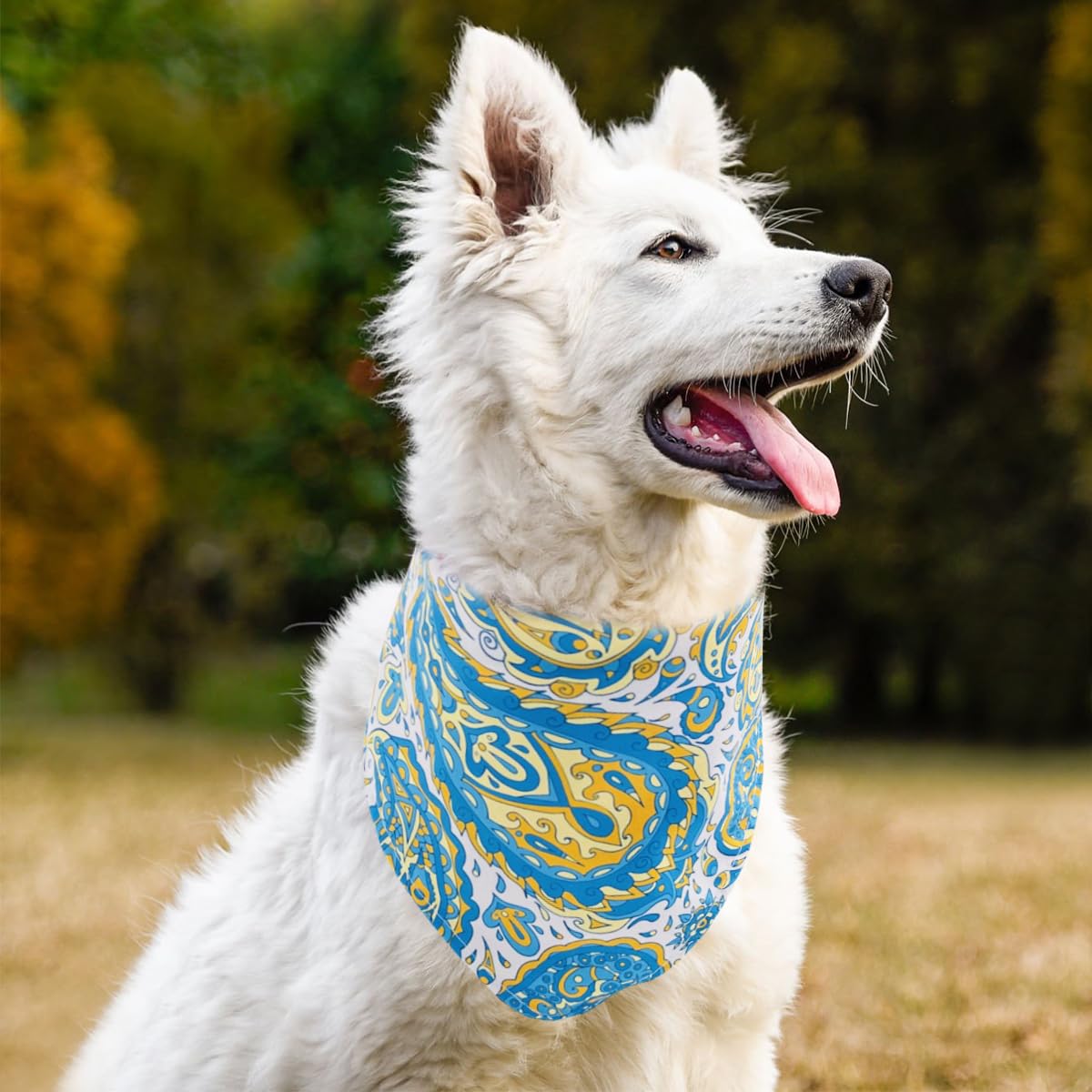 Pai Sence Paisley Dog Bandanas Bulk for Large Dogs Sewn Edges 33" 30 Pack L