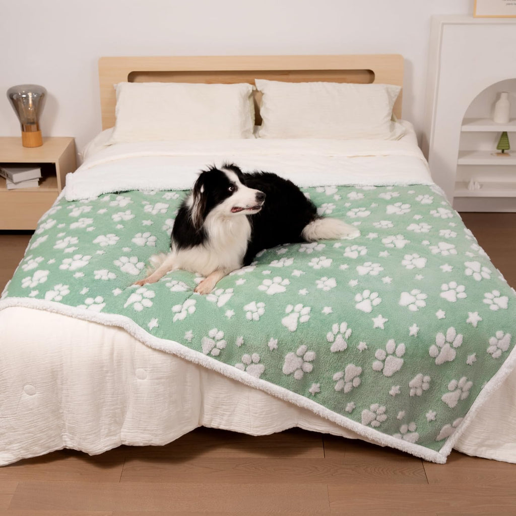 Yaning Cute Waterproof Blanket for Dog Puppy Cat, 30"x40", Purple