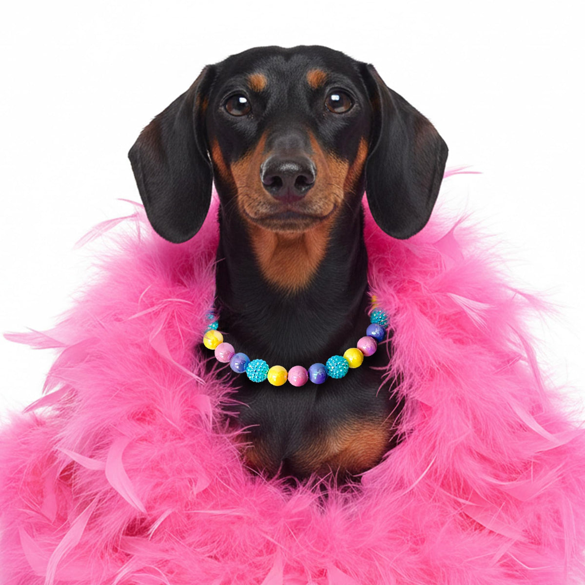 JOGIA Beaded Dog Necklace Collar, Adjustable Jewelry-Inspired Design with Sparkle Beads (Vivid Tropics, Medium)