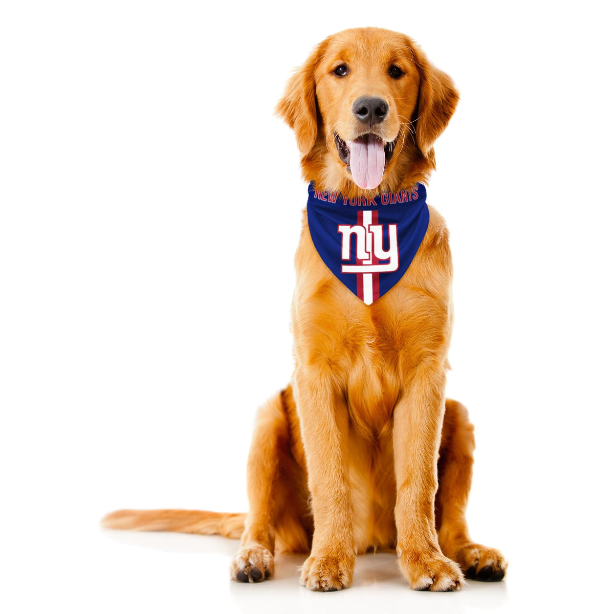 Littlearth NFL Seattle Seahawks Pet Bandana, Team Color, Medium