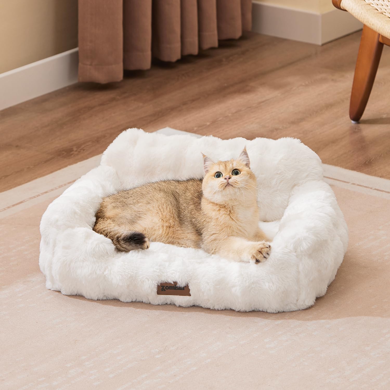 ZOMISIA Orthopedic Cat Couch Bed for Indoor Cats, Removable Washable Cover