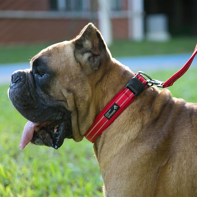 EXCELLENT ELITE SPANKER Reflective Dog Collar Classic Soft Padded Breathable Nylon Adjustable Pet Collar with Quick Release Buckle for Boy Girl Male Female Small Medium Large Dogs Training(Black-M)